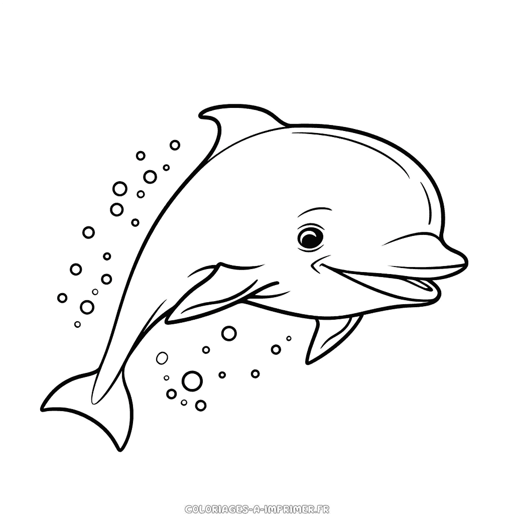 Coloriage dauphin mignon
